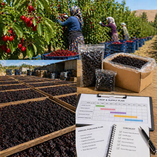 Dried Sour Cherries: Seasonality, Harvest Windows and Crop Planning